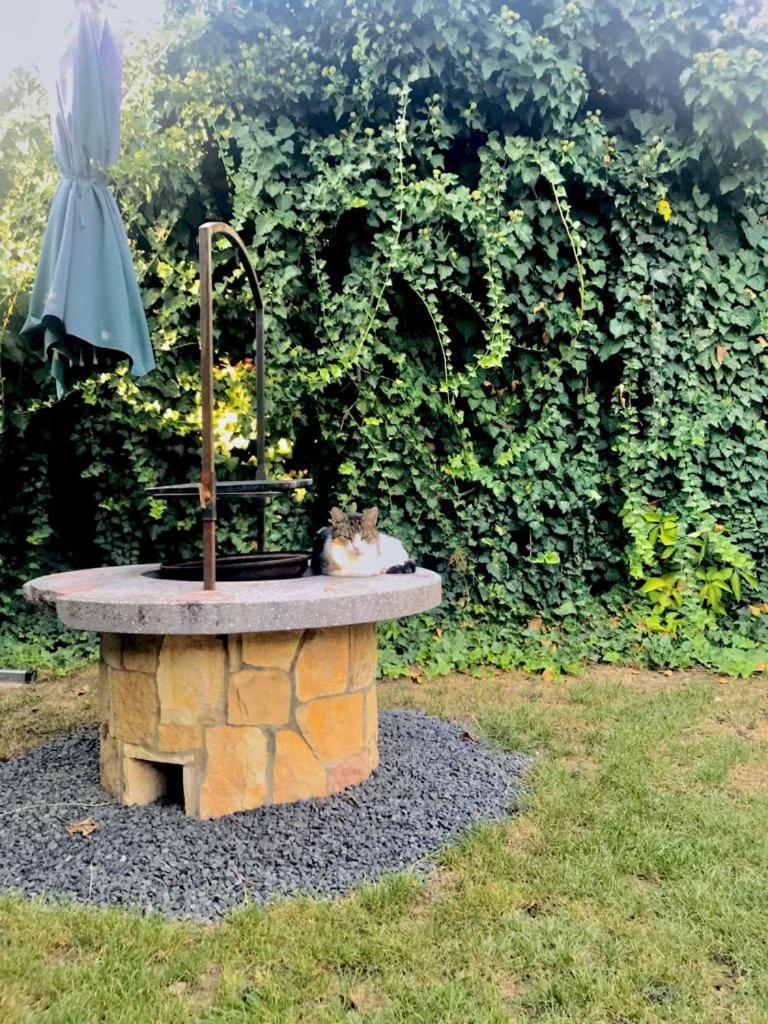 Aranylo Apartmanhaz Hajduszoboszlo Bagian luar foto